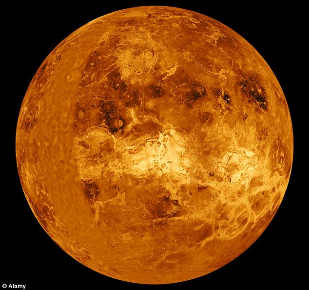 金星表面图